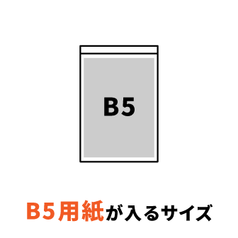 B5