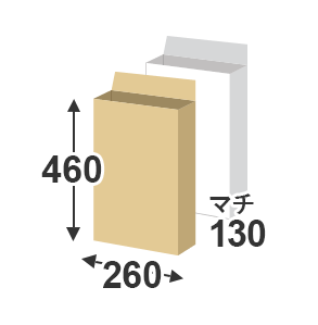 宅配袋 宅配100サイズ