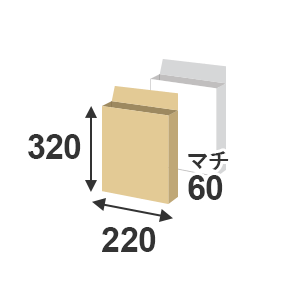 宅配袋 宅配60サイズ