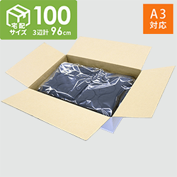 【宅配100サイズ】 ダンボール箱（白・薄型）