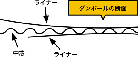 ダンボール材質断面図