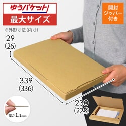 【ゆうパケット最大】A4厚さ3cm・ジッパー付きケース